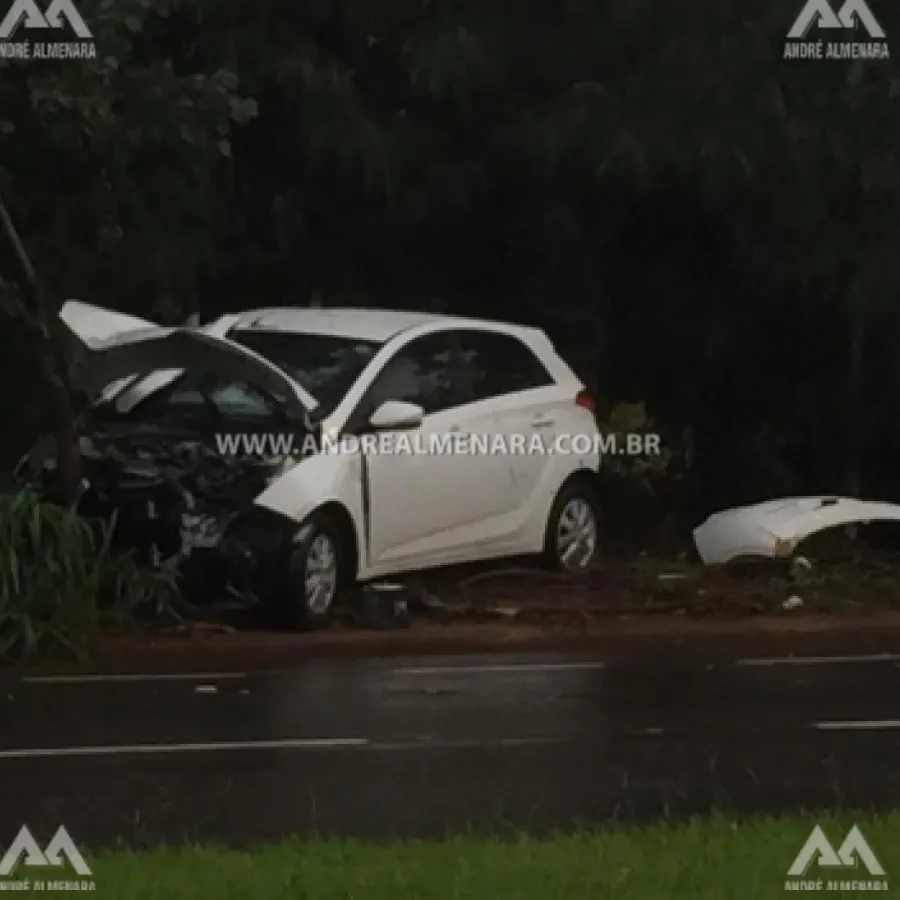 MOTORISTA BATE VEÍCULO EM ÁRVORE EM MARINGÁ NA AVENIDA NILDO RIBEIRO DA ROCHA.