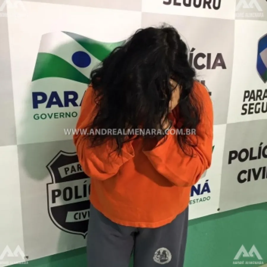 MULHER QUE ATACAVA BOLSAS DE OUTRAS MULHERES EM LOJAS DE MARINGÁ É PRESA PELA POLÍCIA CIVIL.