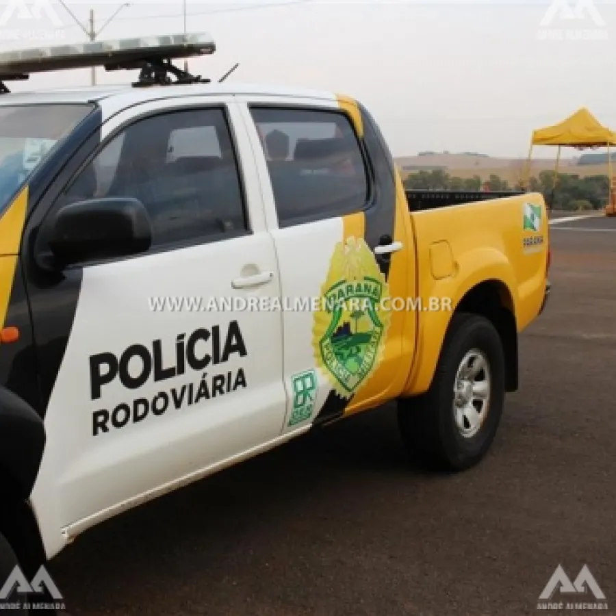 ADOLESCENTE É APREENDIDO COM MAIS DE 20 QUILOS DE MACONHA EM FLORESTA