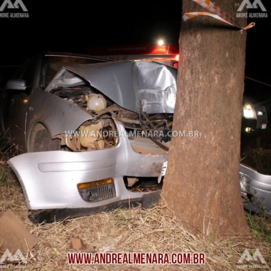 Motorista morre ao bater carro em árvore em Maringá