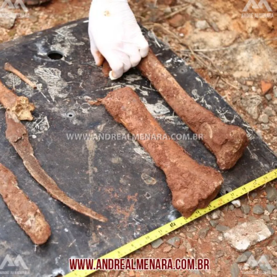 Restos mortais são encontrados em terreno na Vila Operária