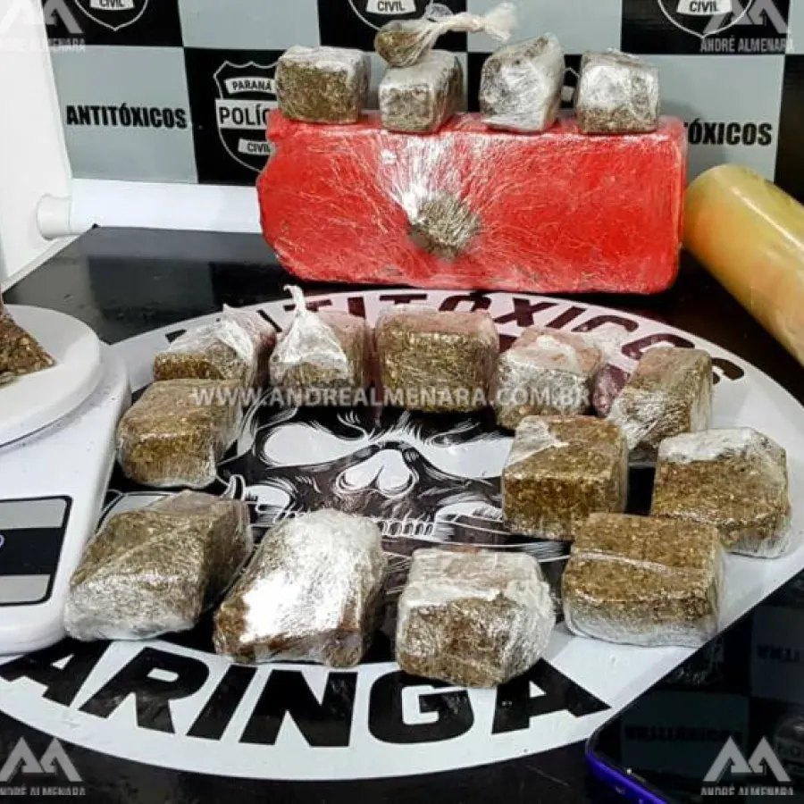 Traficante é preso com grande quantidade de maconha na zona 7 em Maringá