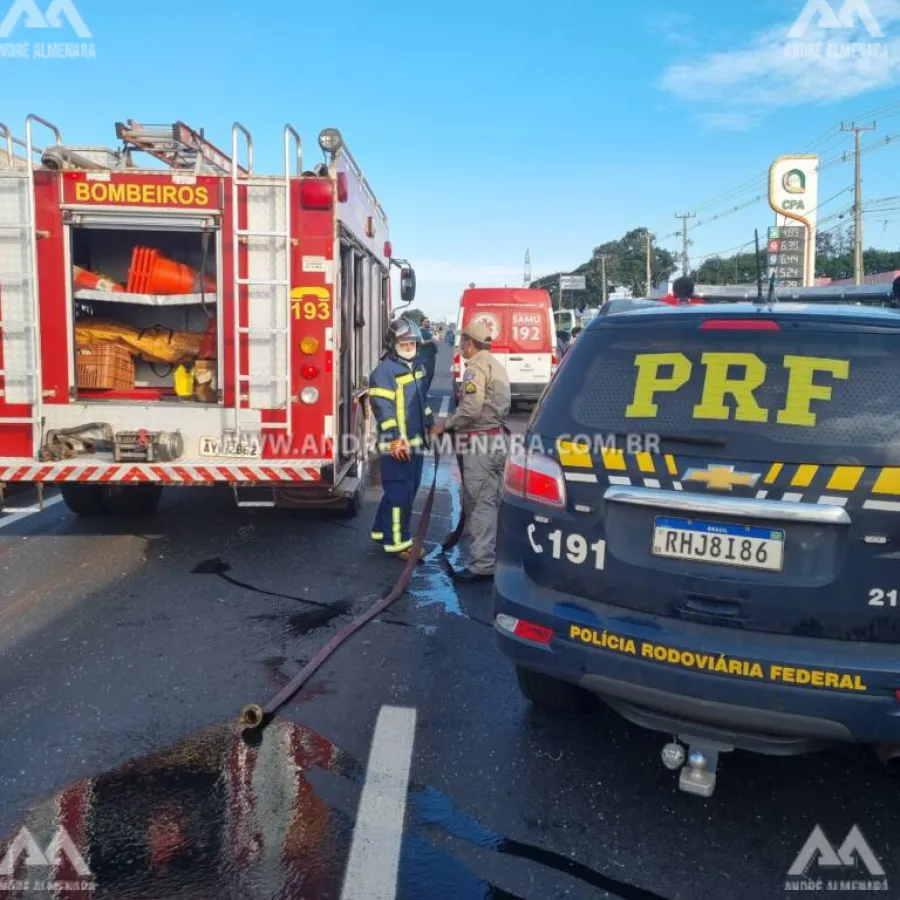 Mulher que morreu em acidente na rodovia de Marialva é identificada