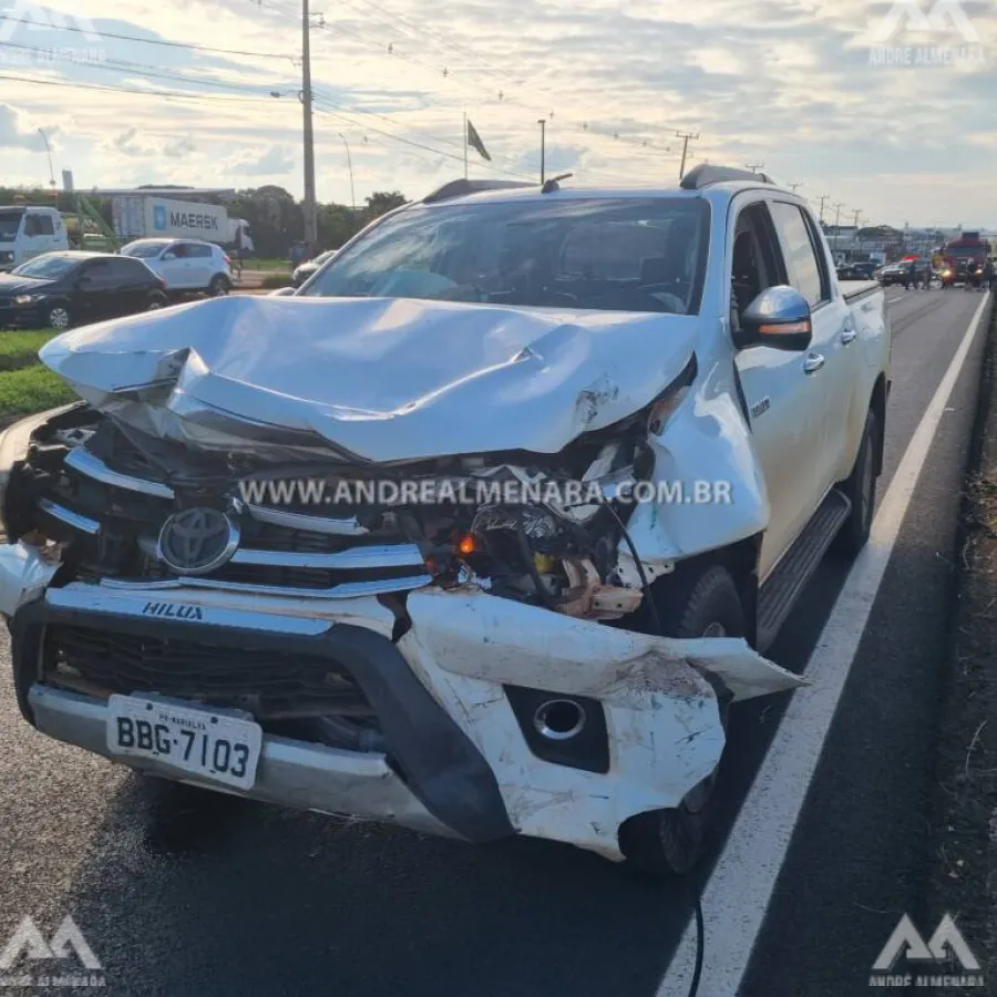 Mulher que morreu em acidente na rodovia de Marialva é identificada