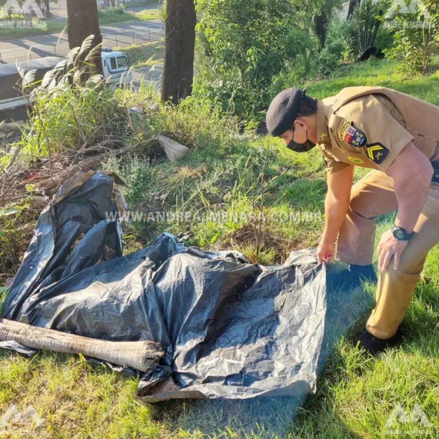 Homem assassinado em Mandaguaçu é identificado no IML