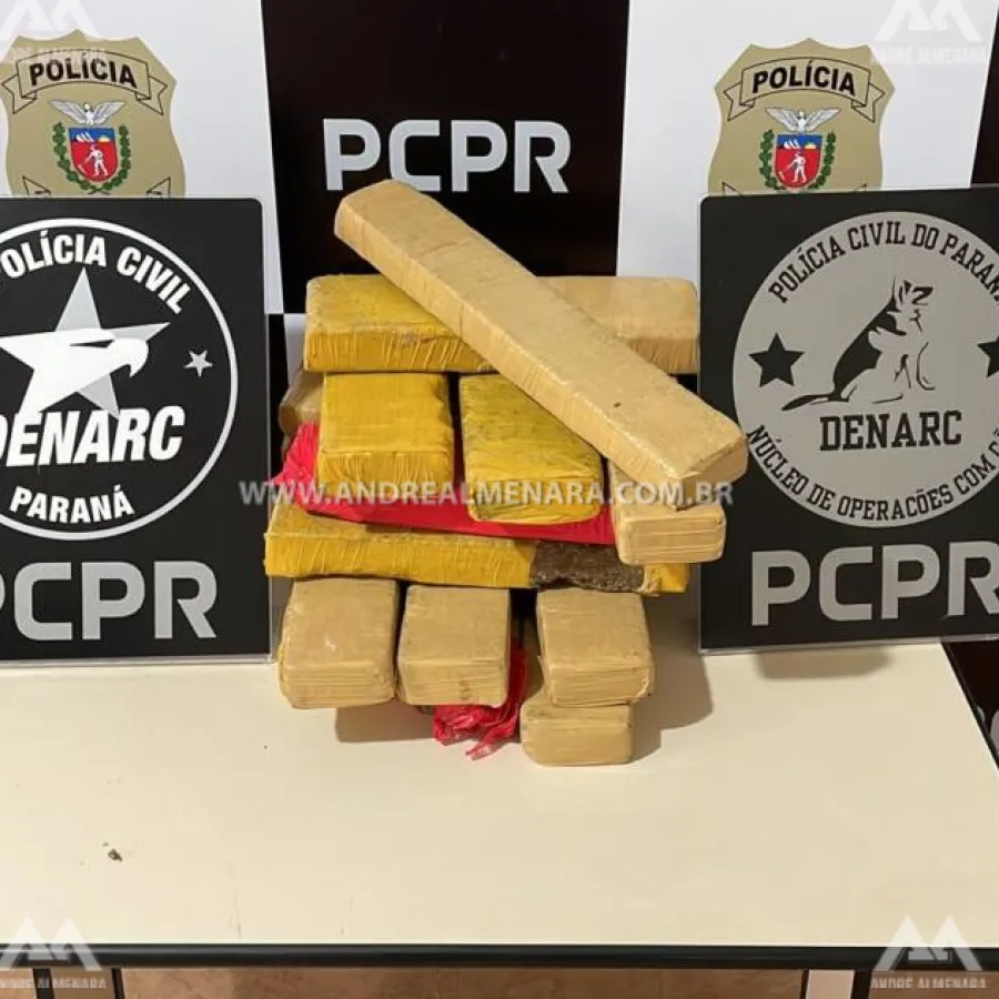 Cão farejador vai treinar no Terminal Rodoviário e acaba localizando tabletes de maconha