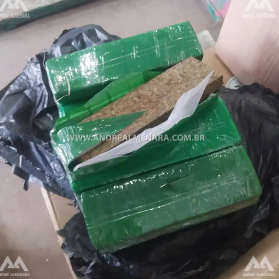 Receita Federal apreende mais de 200 quilos de maconha em transportada de Maringá