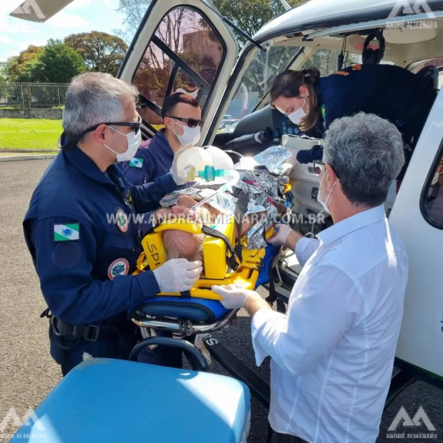 Homem de 78 anos é intubado ao ser picado mais de 200 vezes em Marialva