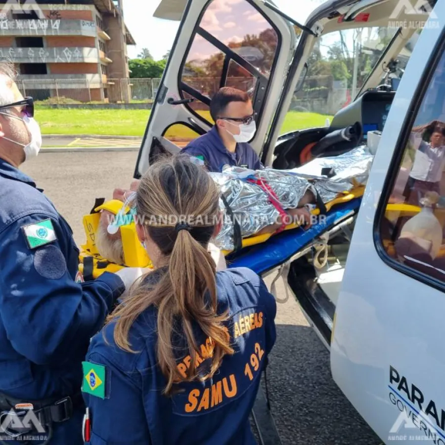 Homem de 78 anos é intubado ao ser picado mais de 200 vezes em Marialva