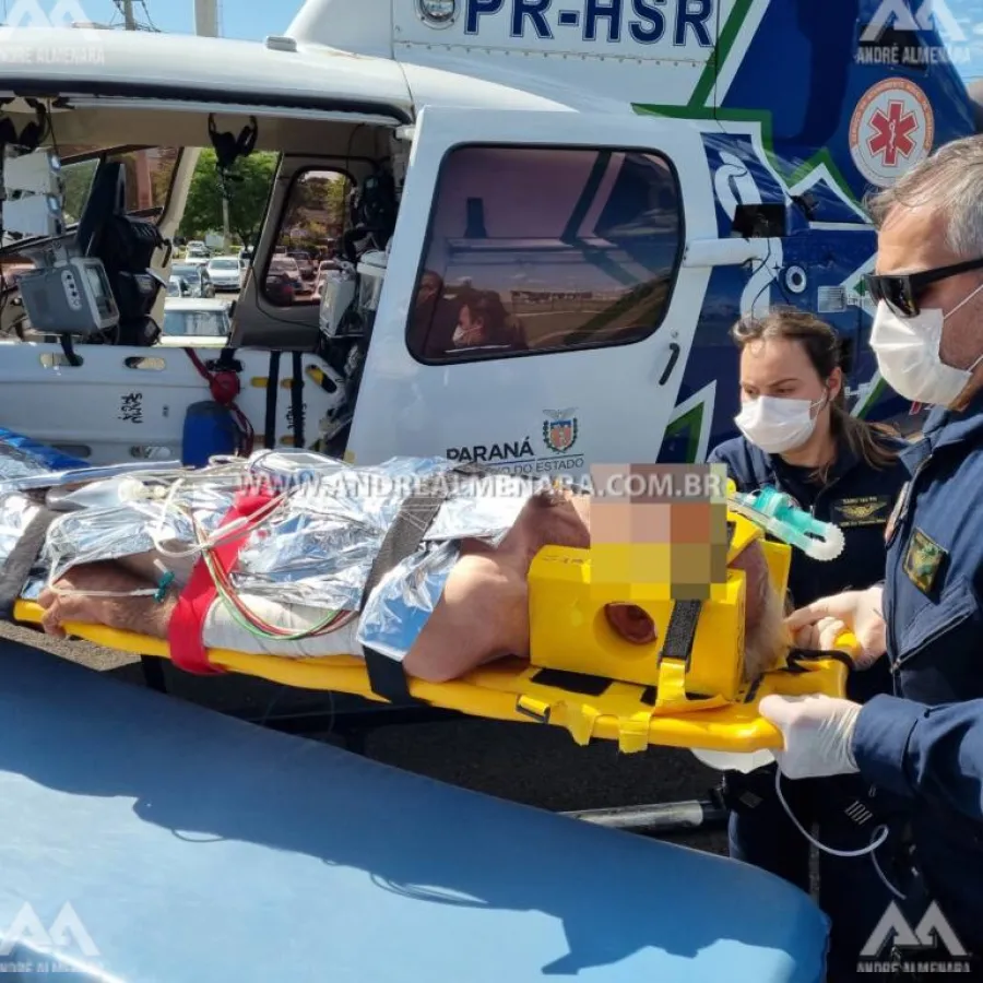 Homem de 78 anos é intubado ao ser picado mais de 200 vezes em Marialva