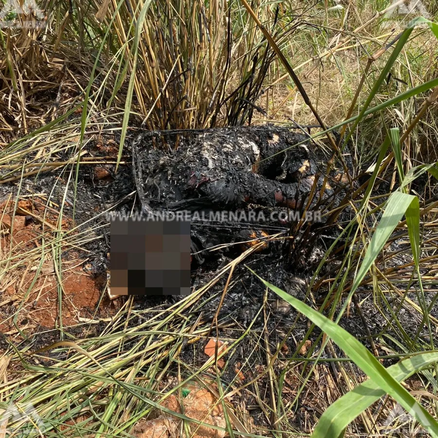 Homem encontrado carbonizado dentro de mala em Paiçandu é identificado.