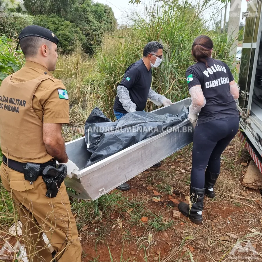 Homem encontrado carbonizado dentro de mala em Paiçandu é identificado.