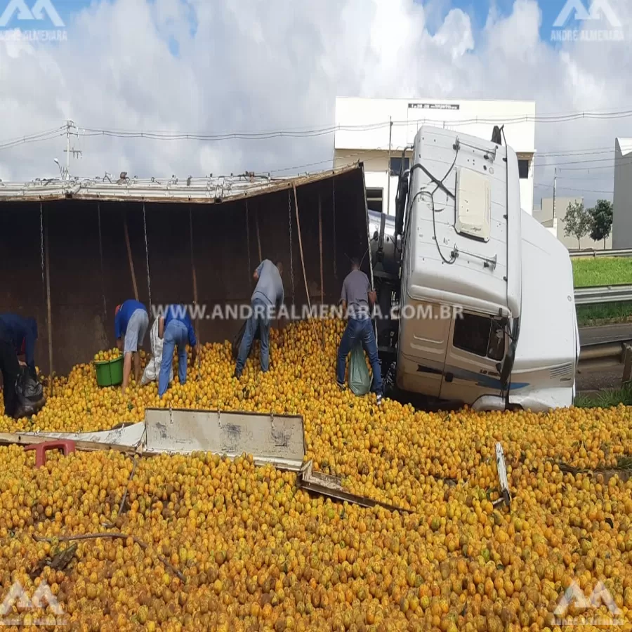 Caminhão carregado de laranjas tomba na rodovia BR-376 do Contorno Norte