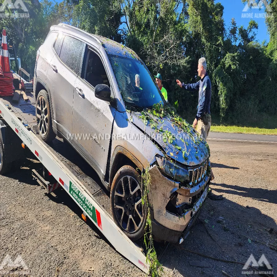 PRF apreende quase 1 tonelada de maconha em Maringá