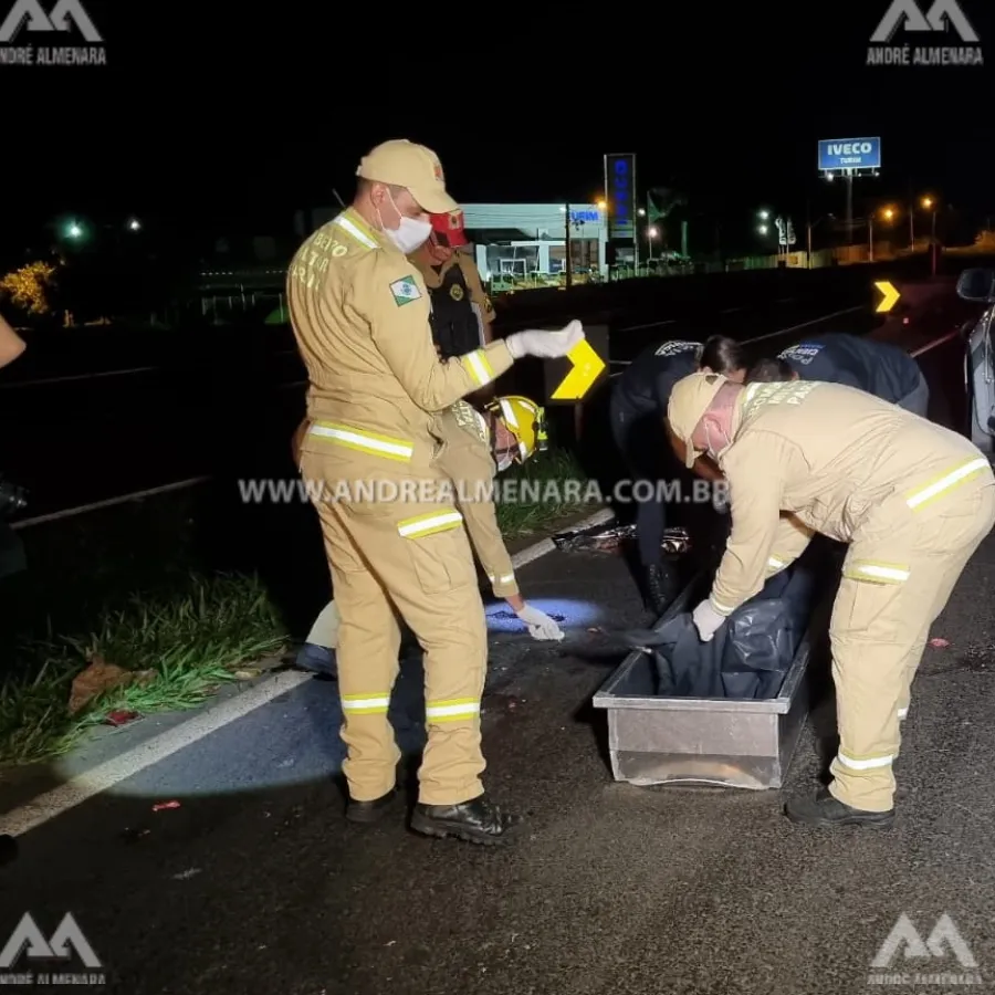 Mulher e duas crianças morrem atropeladas na rodovia PR-317 em Maringá