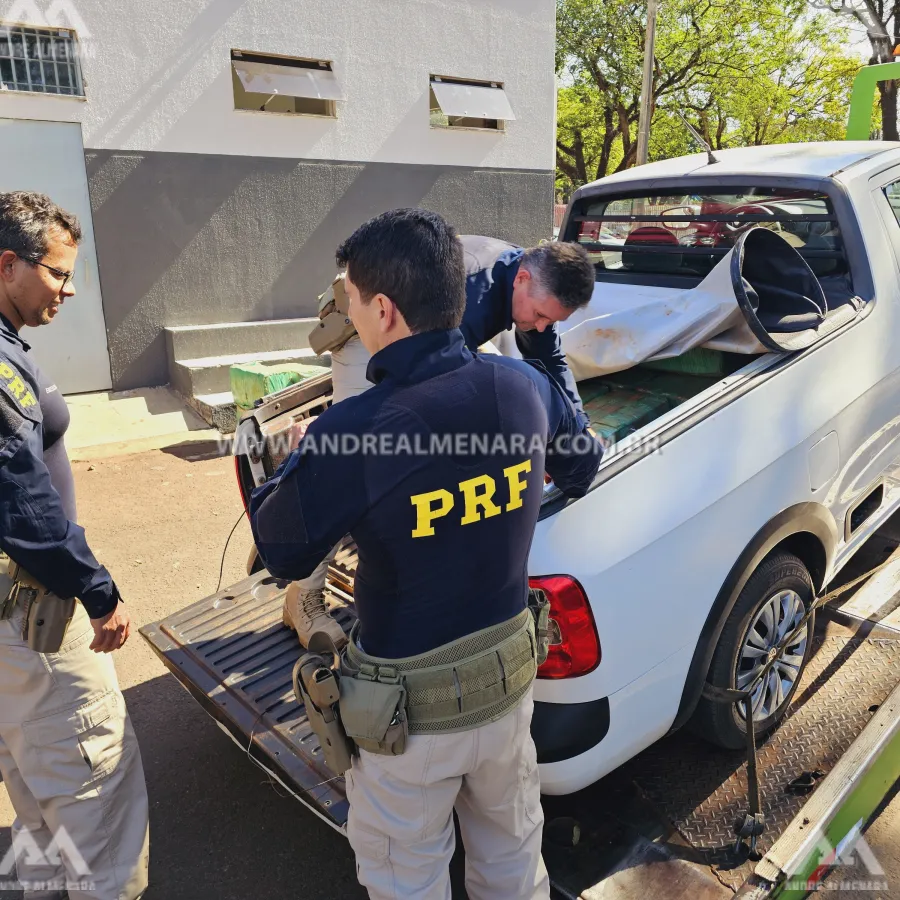 Motorista que trazia quase meia tonelada de maconha para Maringá é preso em Paiçandu