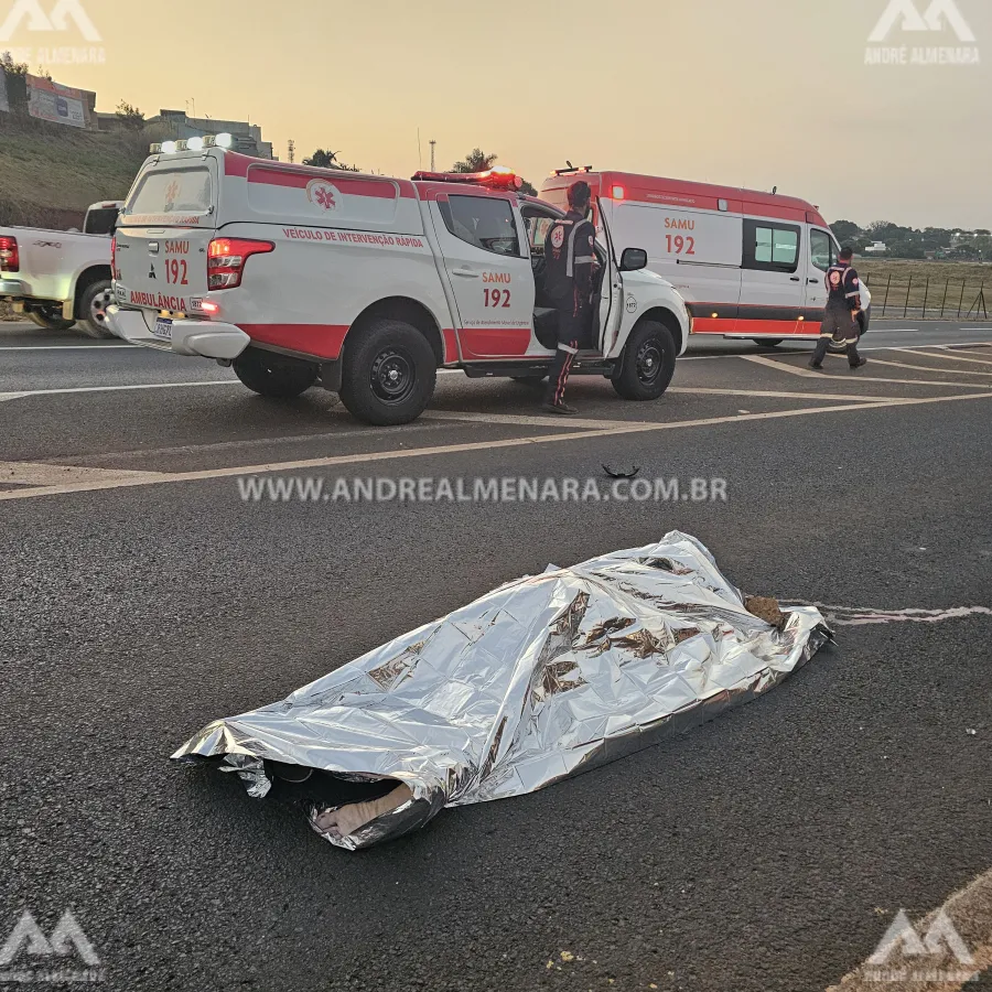 Senhor de 63 anos morre ao ser atropelado por moto na rodovia de Mandaguaçu