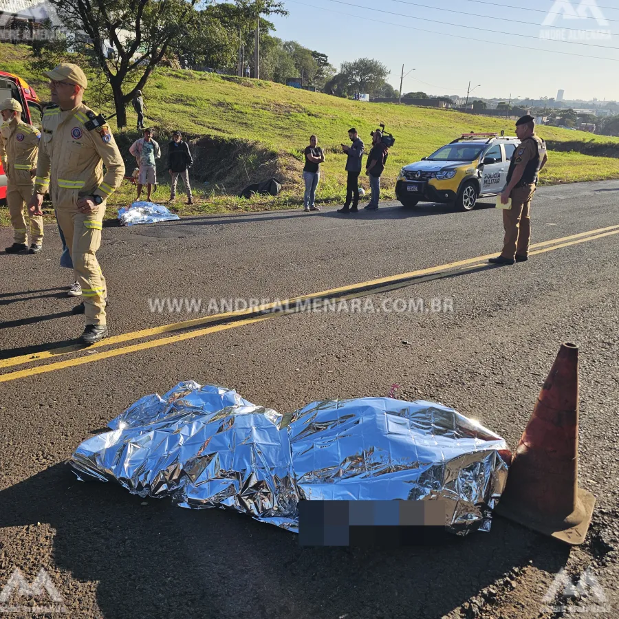 Maringá registra 27 mortes no trânsito em 2024