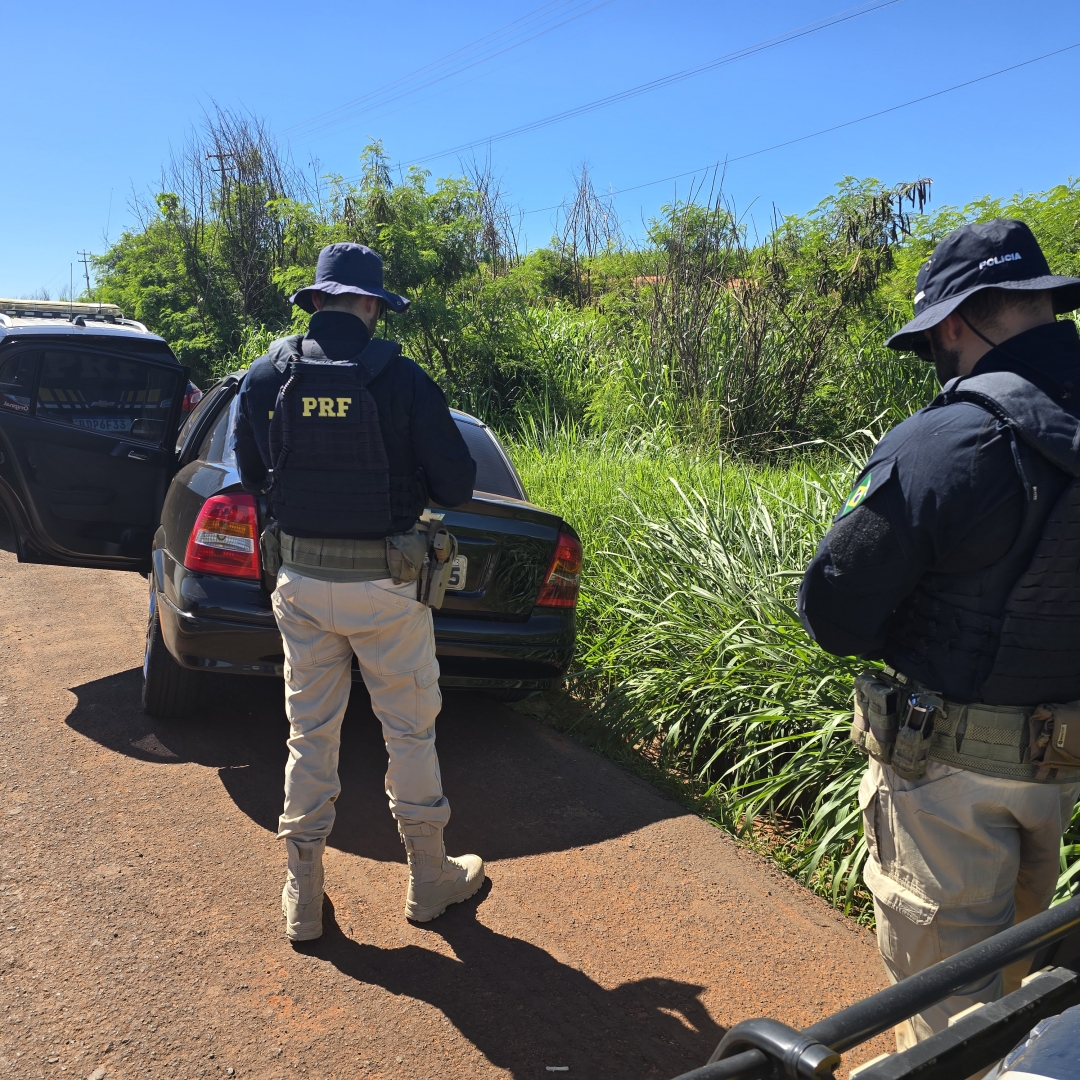 PRF apreende mais de 200 quilos de maconha na rodovia BR-376 