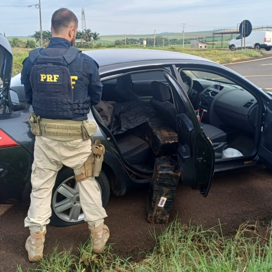 Casal é preso com mais de 300 quilos de maconha na rodovia de Floresta