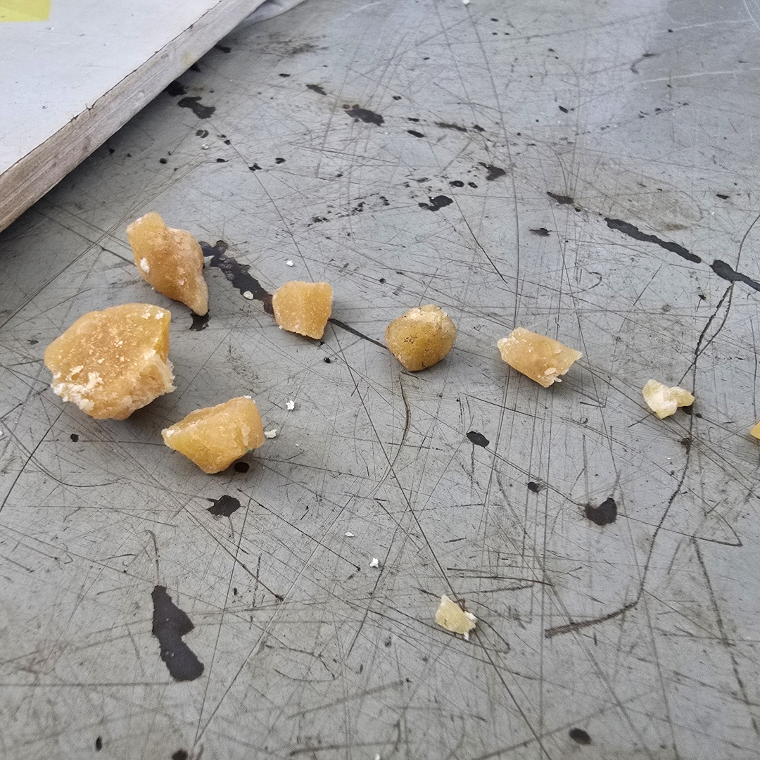 Traficante que foi preso dias atrás é novamente flagrado vendendo drogas no centro de Maringá