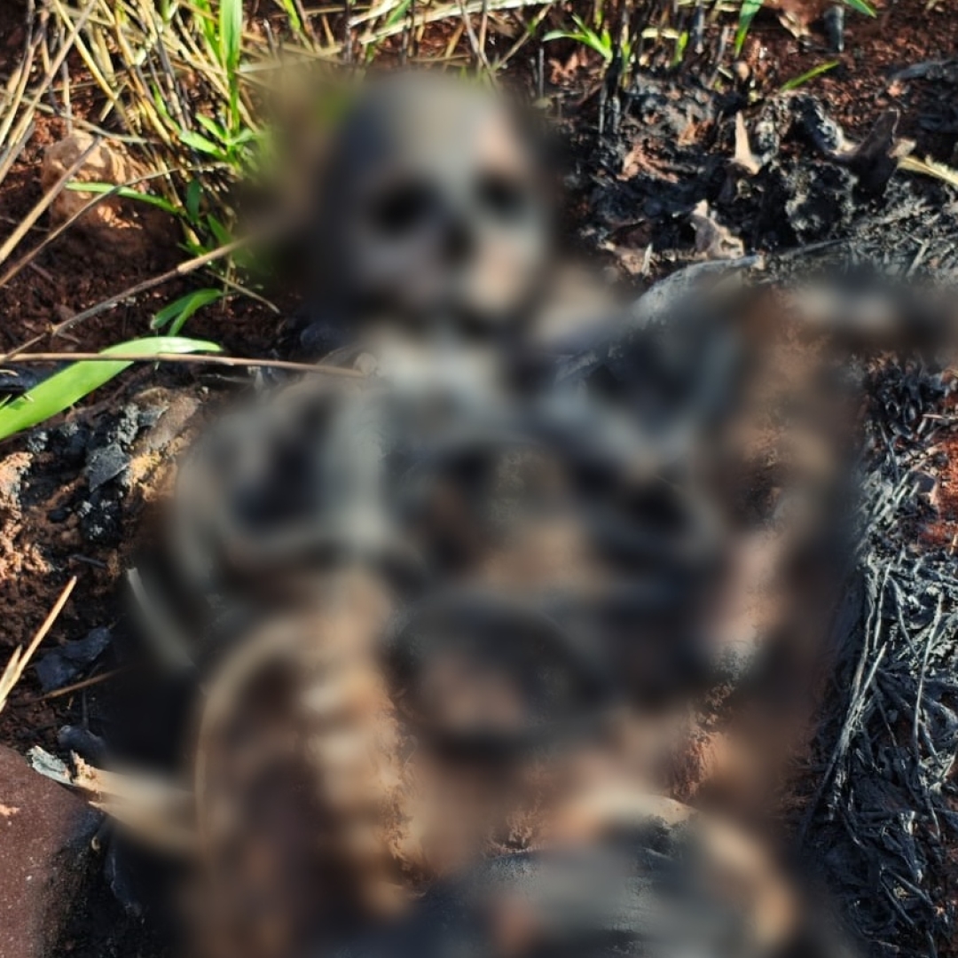 DHPP investiga corpo carbonizado encontrado no Conjunto Odwaldo Bueno