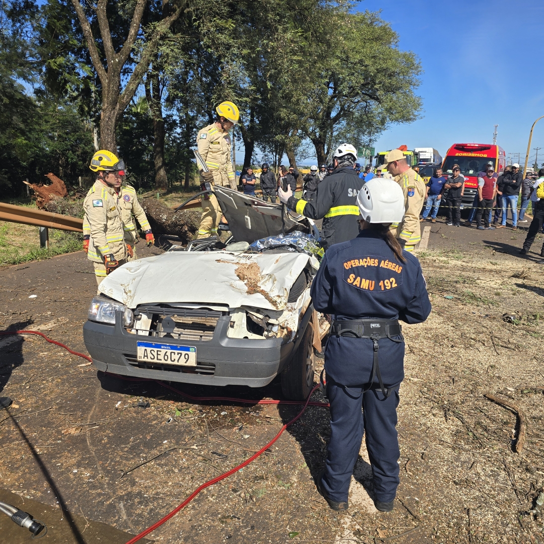 Árvore cai sobre carro e mata motorista na rodovia PR-317, em Maringá