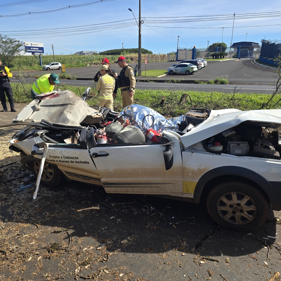 Árvore cai sobre carro e mata motorista na rodovia PR-317, em Maringá