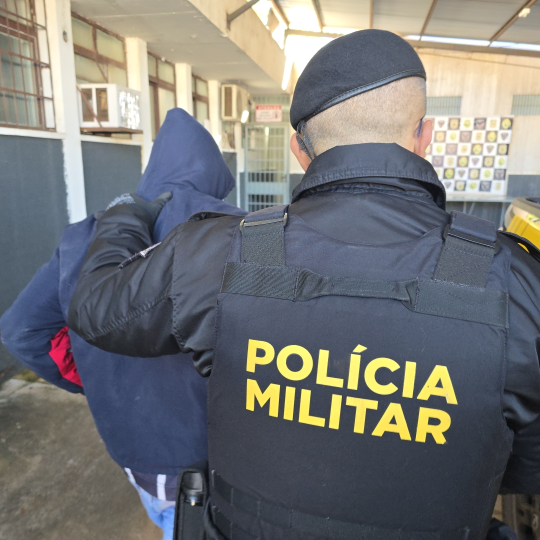 PM vai atender ocorrência de violência doméstica e acaba encontrando pé de maconha