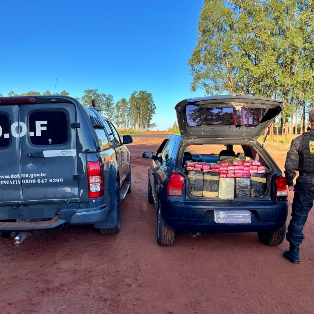 Droga que viria para Maringá é interceptada pela polícia no Mato Grosso do Sul
