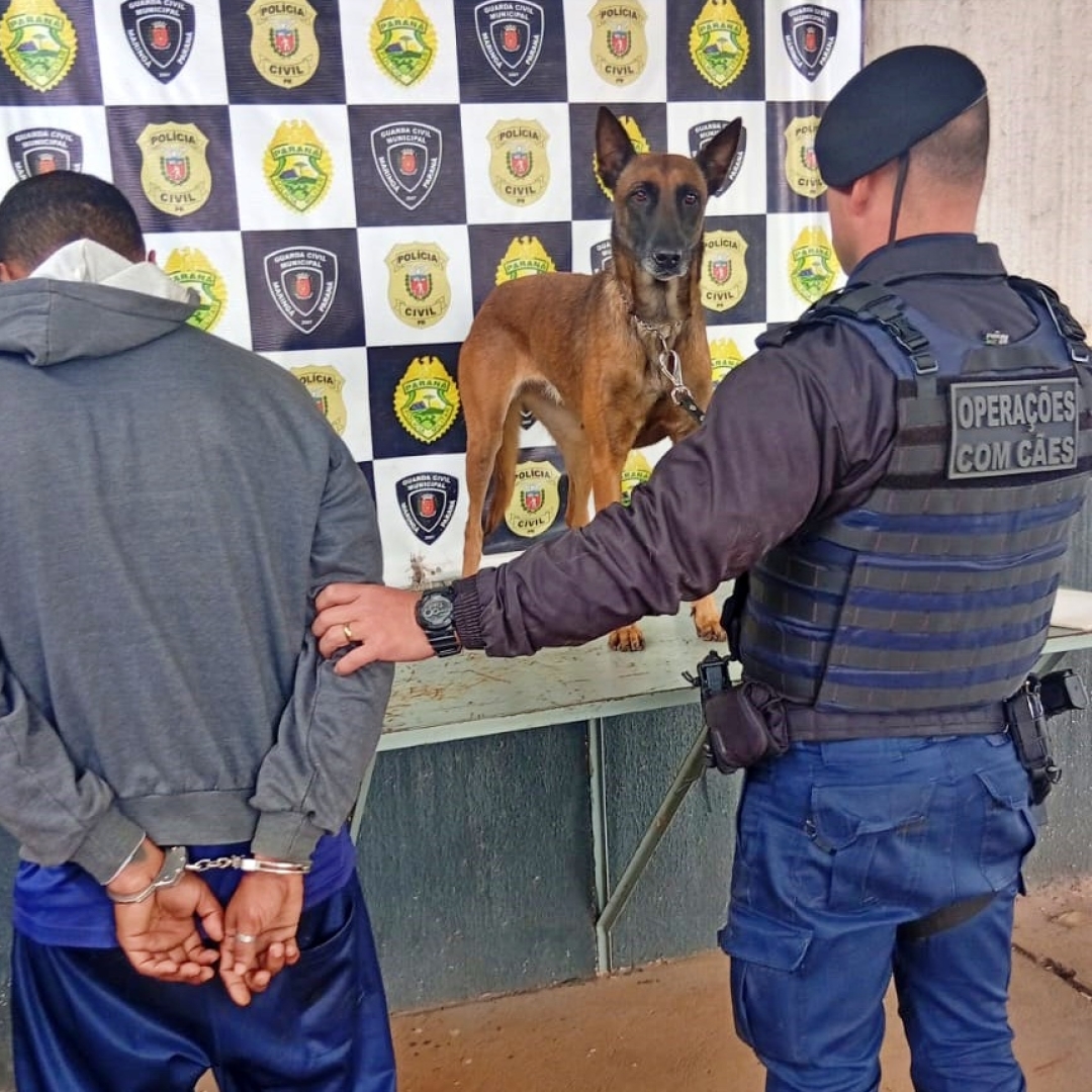 Foragido da Justiça é preso na frente da sede da Guarda Municipal de Maringá