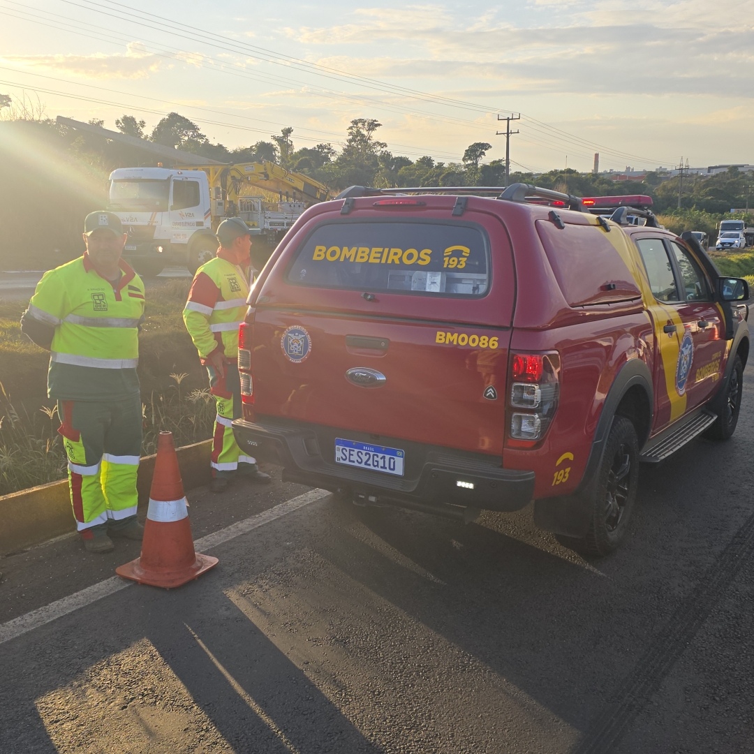 Homem ainda não identificado morre atropelado por carro na rodovia BR-376