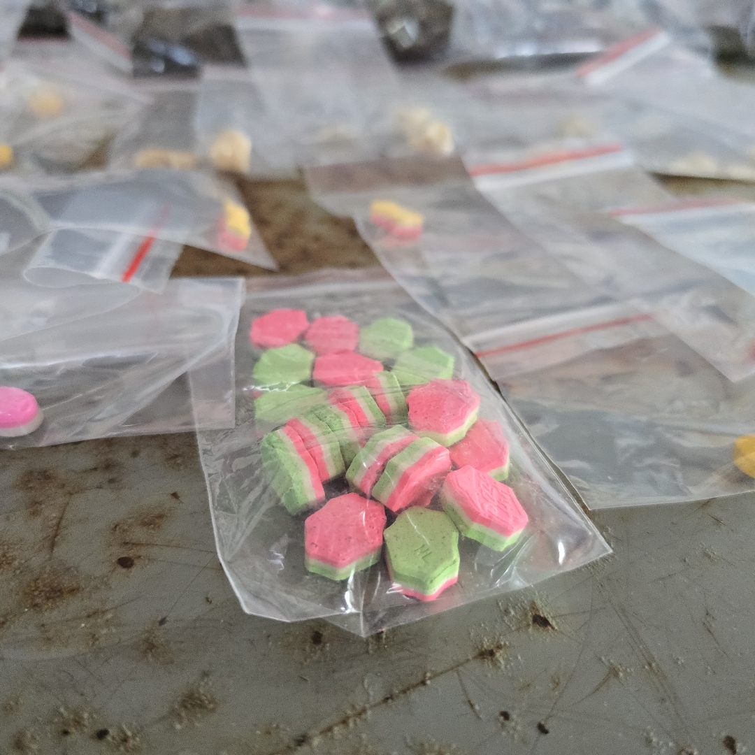 Guarda Municipal de Maringá prende casal com grande quantidade de drogas