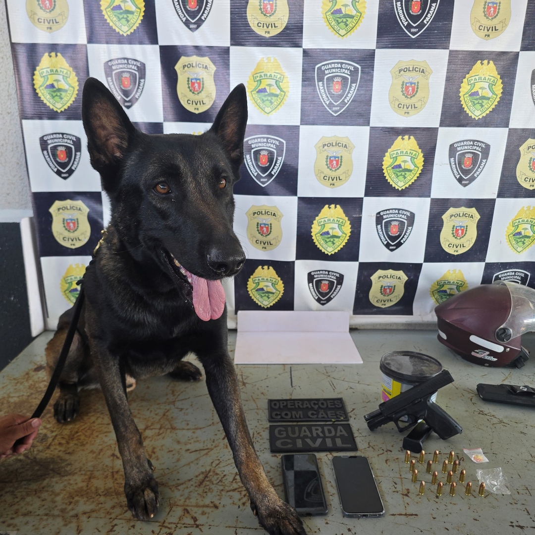Guarda Civil Municipal de Maringá prende três homens com pistola 9mm e drogas
