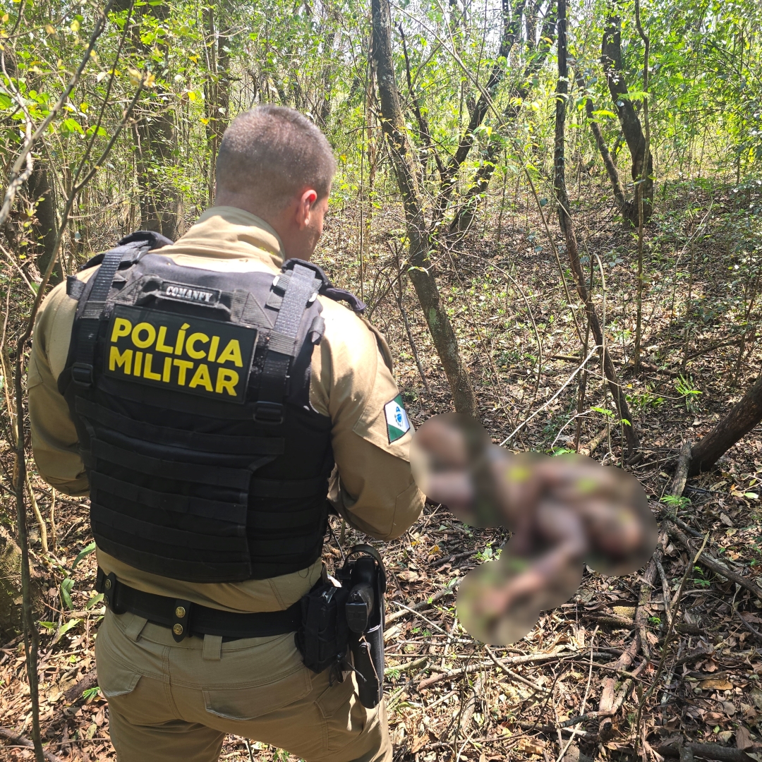 Homem que estava desaparecido em Sarandi é encontrado morto em mata