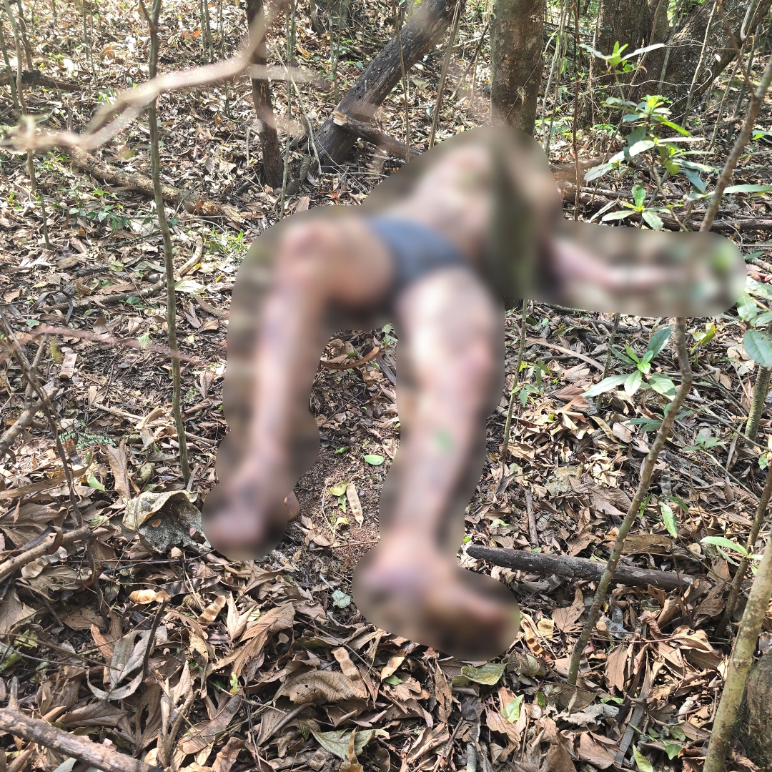 Homem que estava desaparecido em Sarandi é encontrado morto em mata