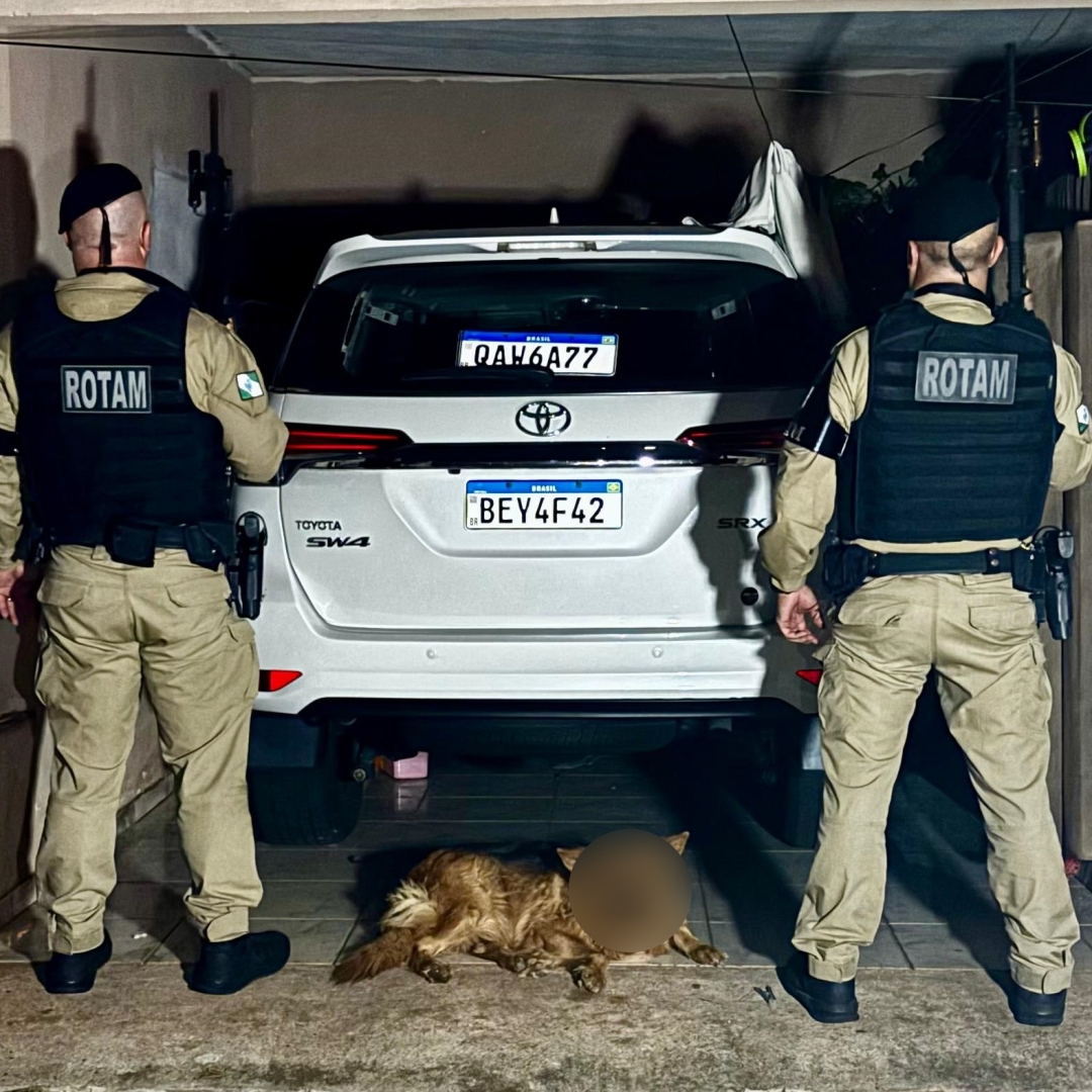 Polícia Militar do 32º Batalhão de Sarandi prende homem com veículos furtados