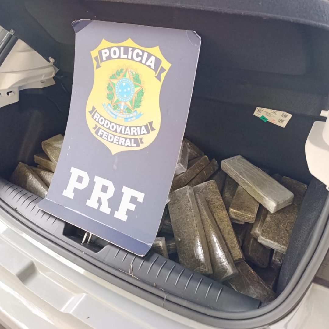 Homem transportando mais de 200 quilos de maconha tenta atropelar policial para não ser abordado