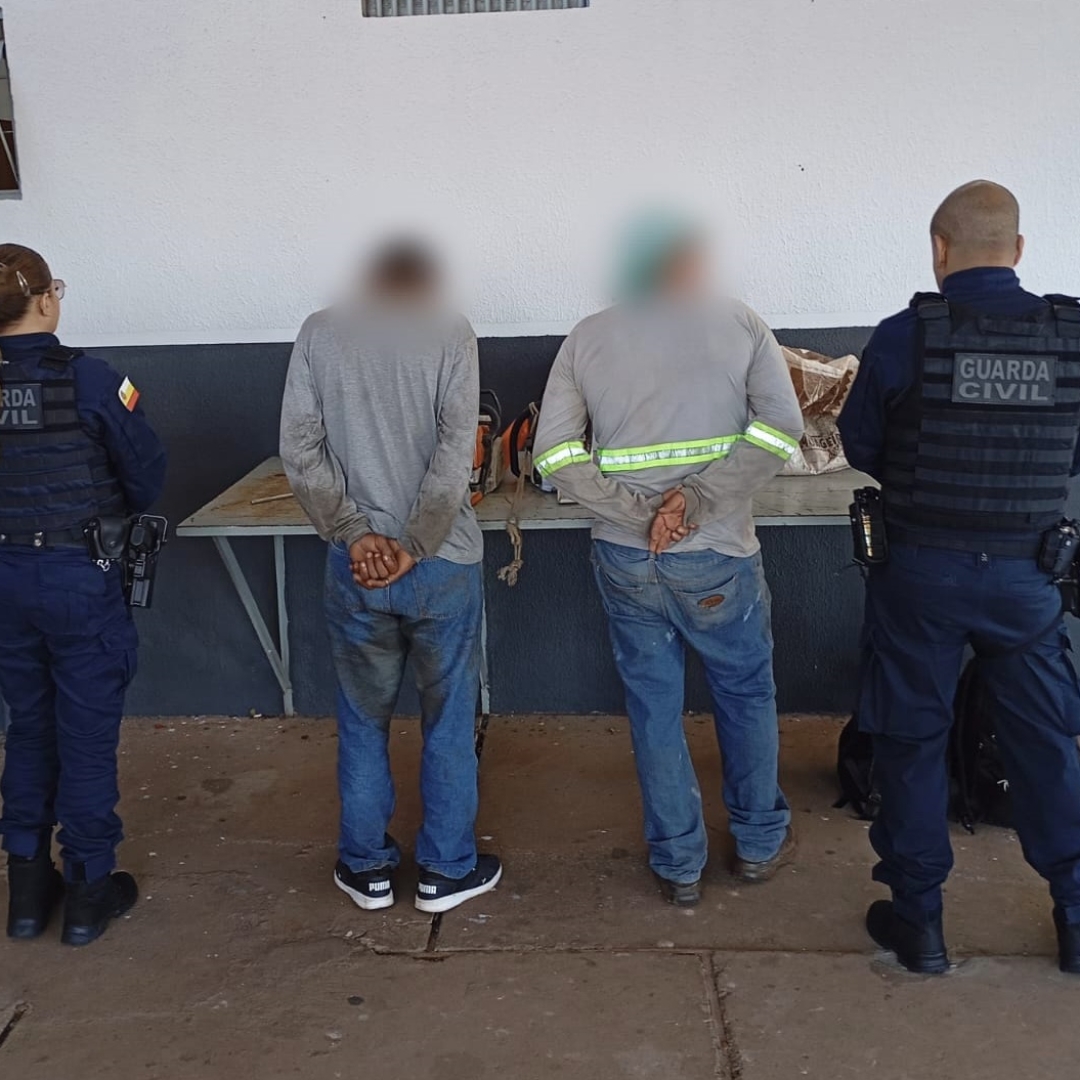 Homem é preso duas vezes no mesmo dia cortando árvore sem documentação