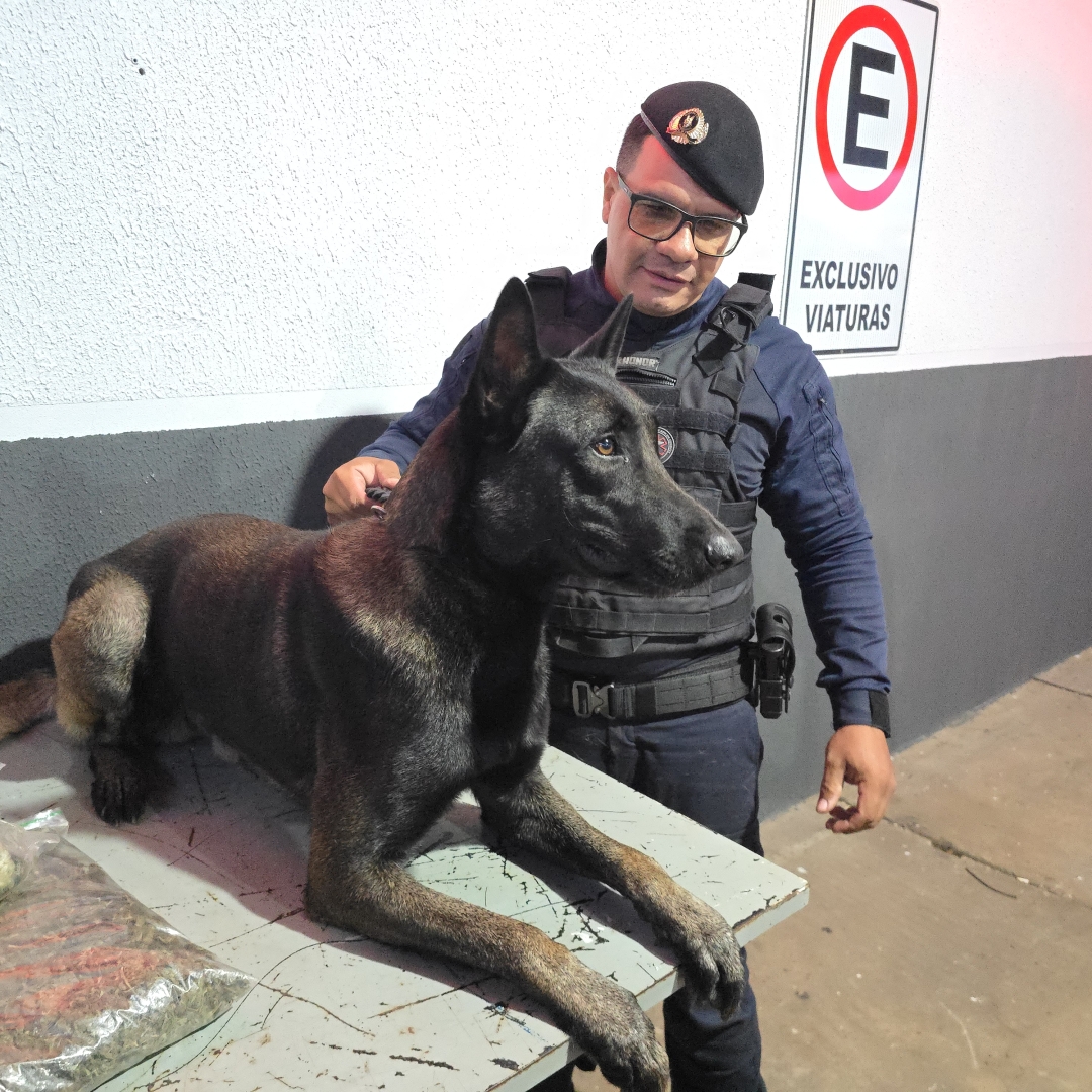 Grande quantidade de drogas é apreendida em Sarandi pela Guarda Municipal