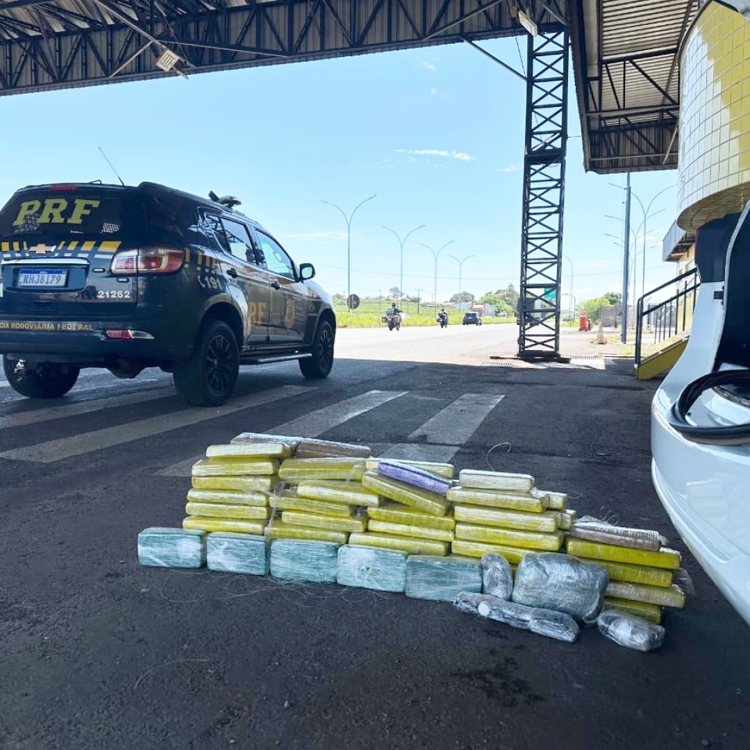 PRF apreende drogas e anabolizantes em fundo falso de veículo em Mandaguari