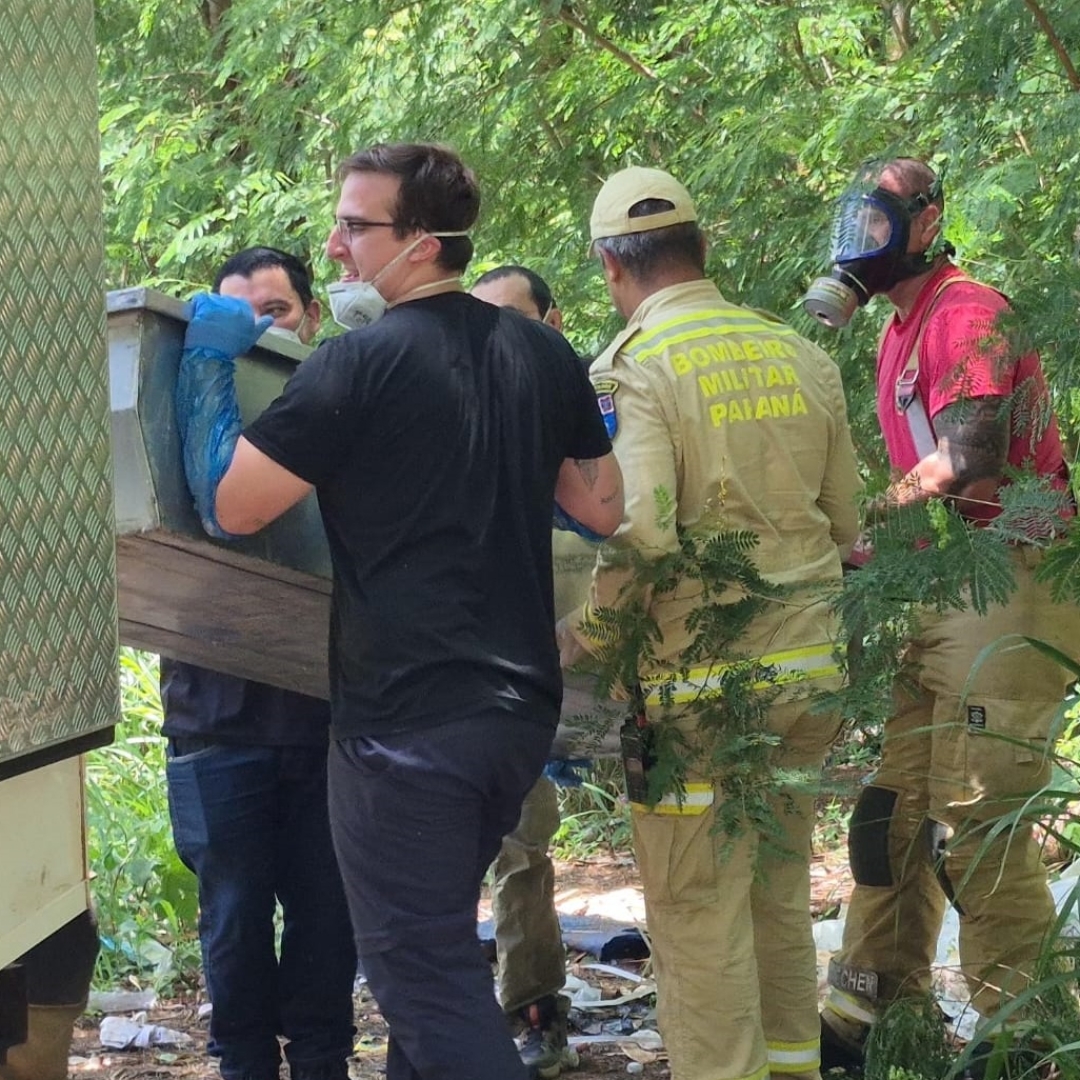 Homem encontrado morto em mata é identificado