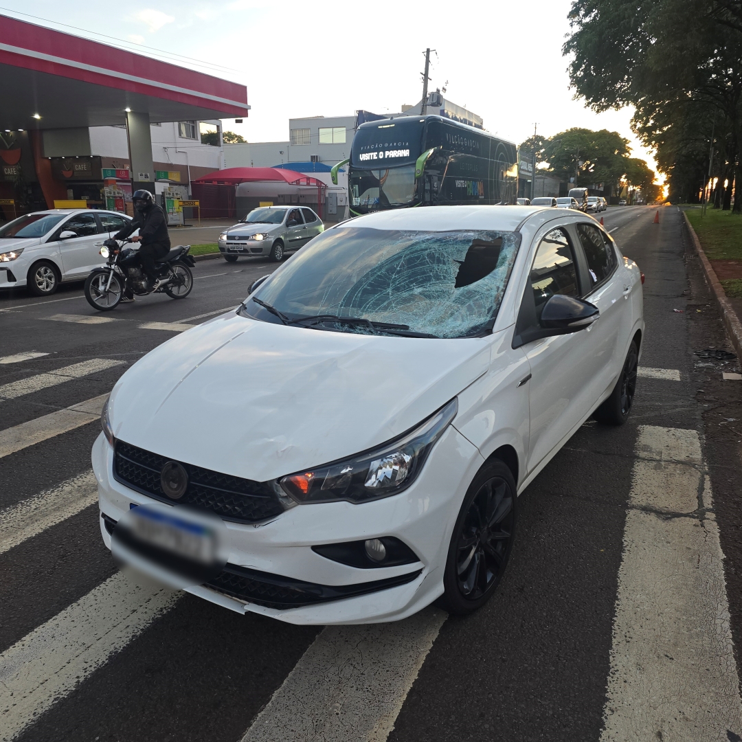 Motorista embriagado provoca acidente gravíssimo na Avenida Colombo