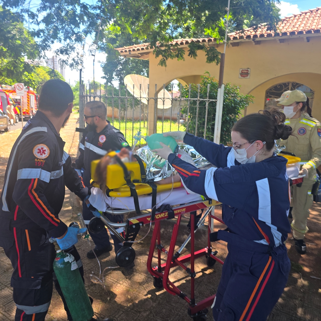 Idoso atacado por pitbulls permanece internado em coma; família registra boletim de ocorrência