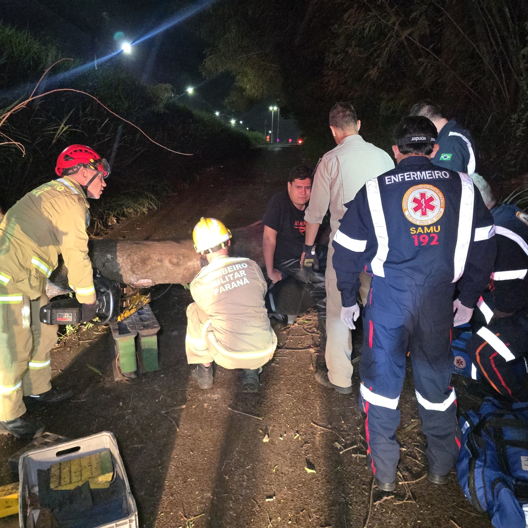 Árvore cai durante temporal e atinge motociclista em Maringá