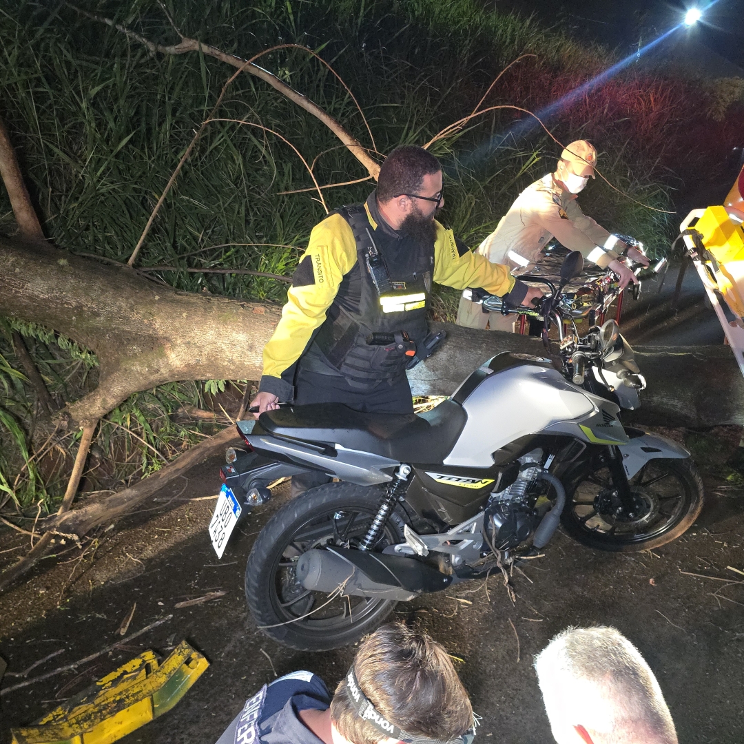 Árvore cai durante temporal e atinge motociclista em Maringá