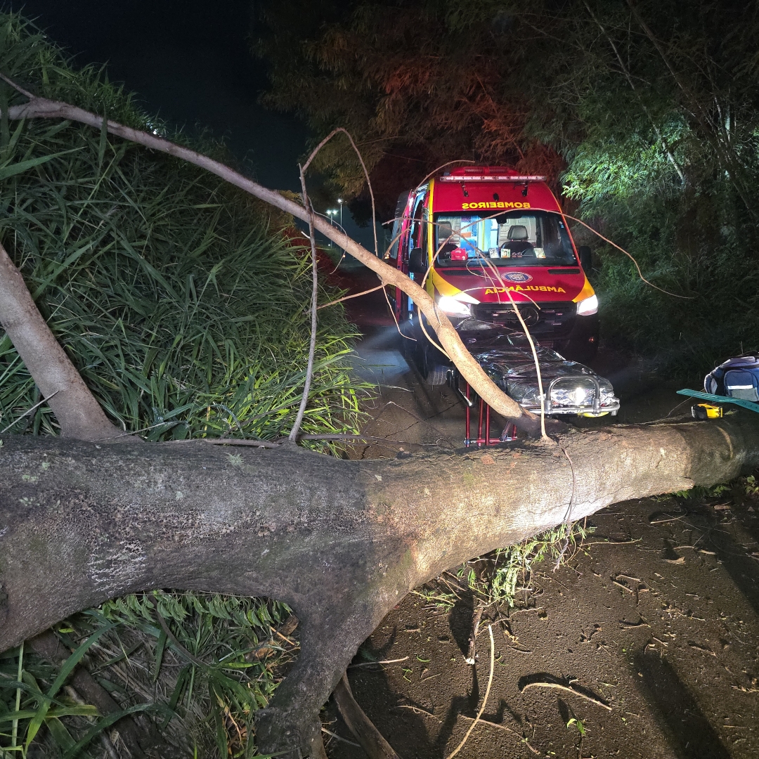 Árvore cai durante temporal e atinge motociclista em Maringá