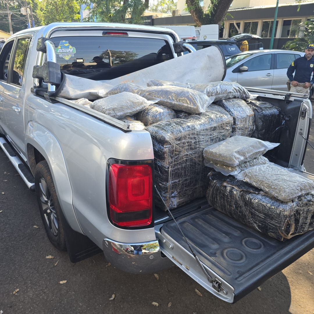 Quase meia tonelada de supermaconha é apreendida após fuga na PR-317, em Maringá