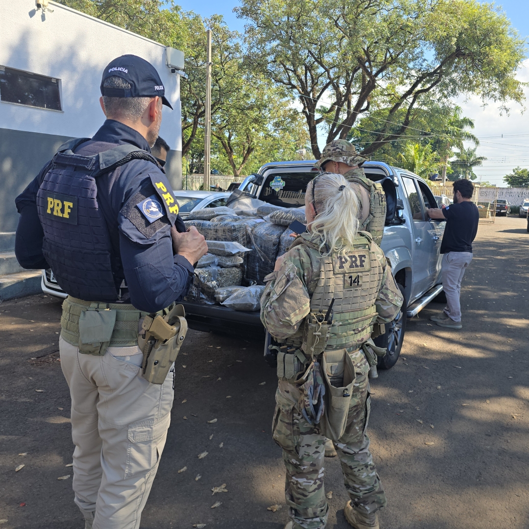 Quase meia tonelada de supermaconha é apreendida após fuga na PR-317, em Maringá