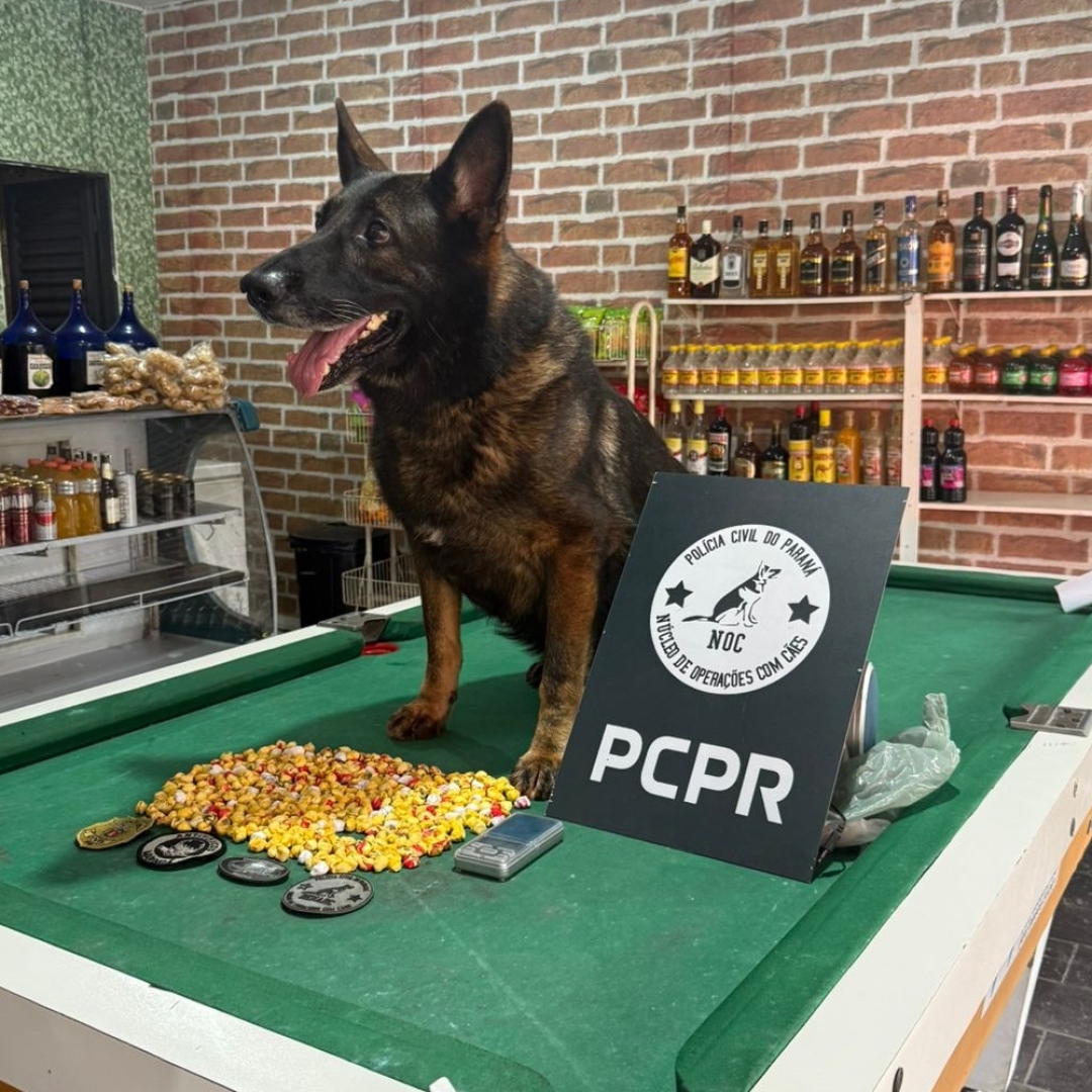 Dono de bar é preso em Maringá com grande quantidade de drogas